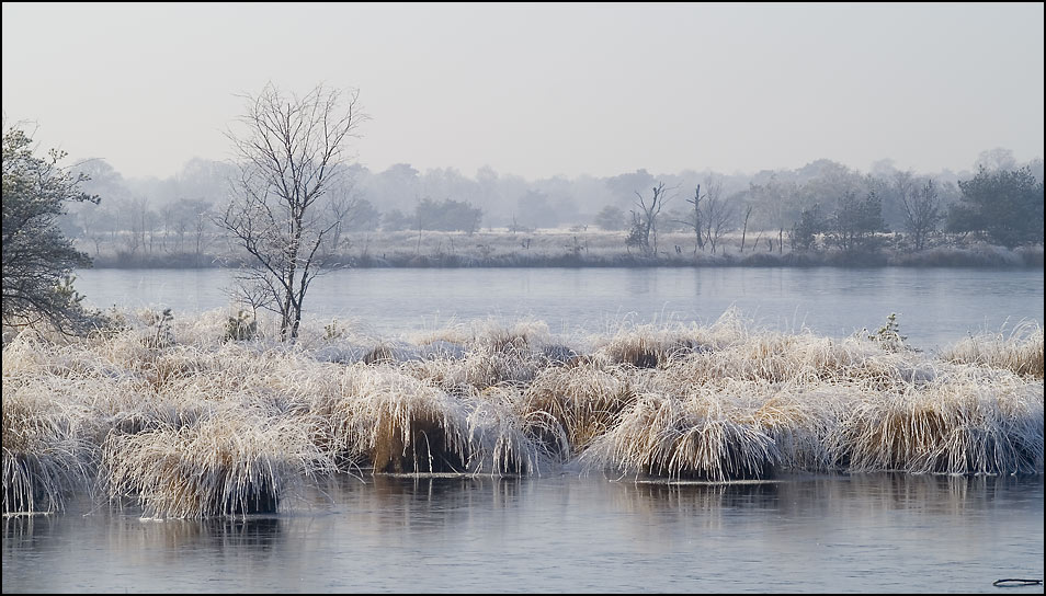 Moor im Winter 2