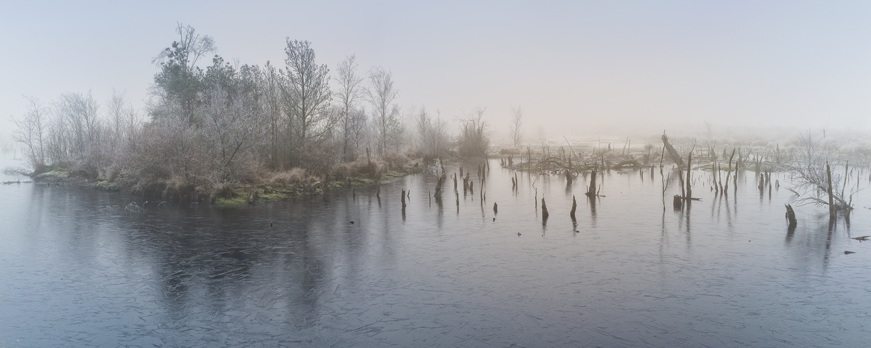 Moor im Winter