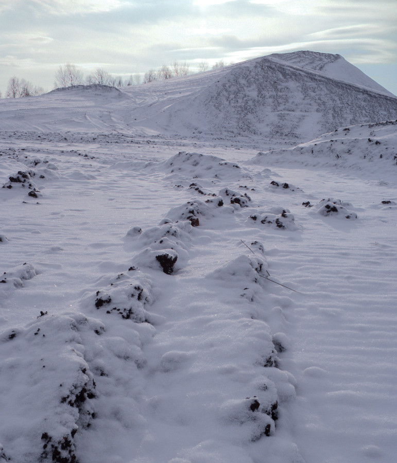 #Moor im Winter