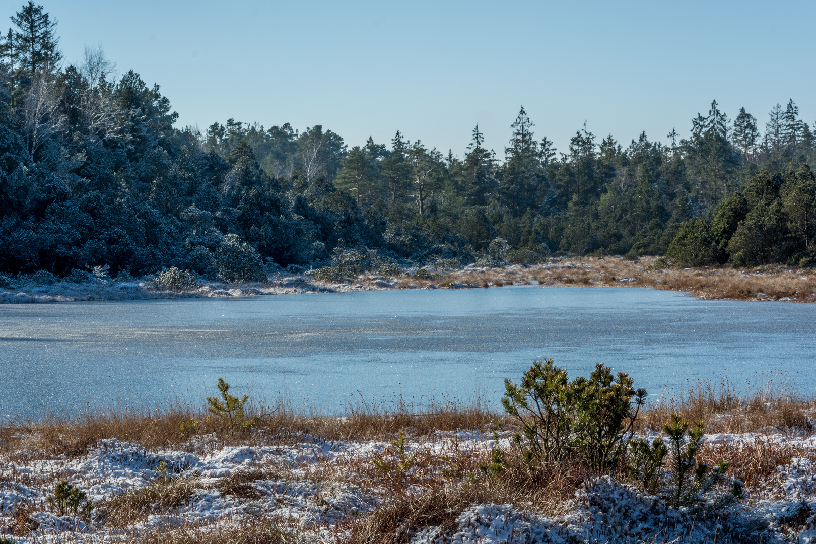 Moor im Winterkleid