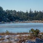 Moor im Winterkleid