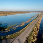 Moor in der Wintersonne