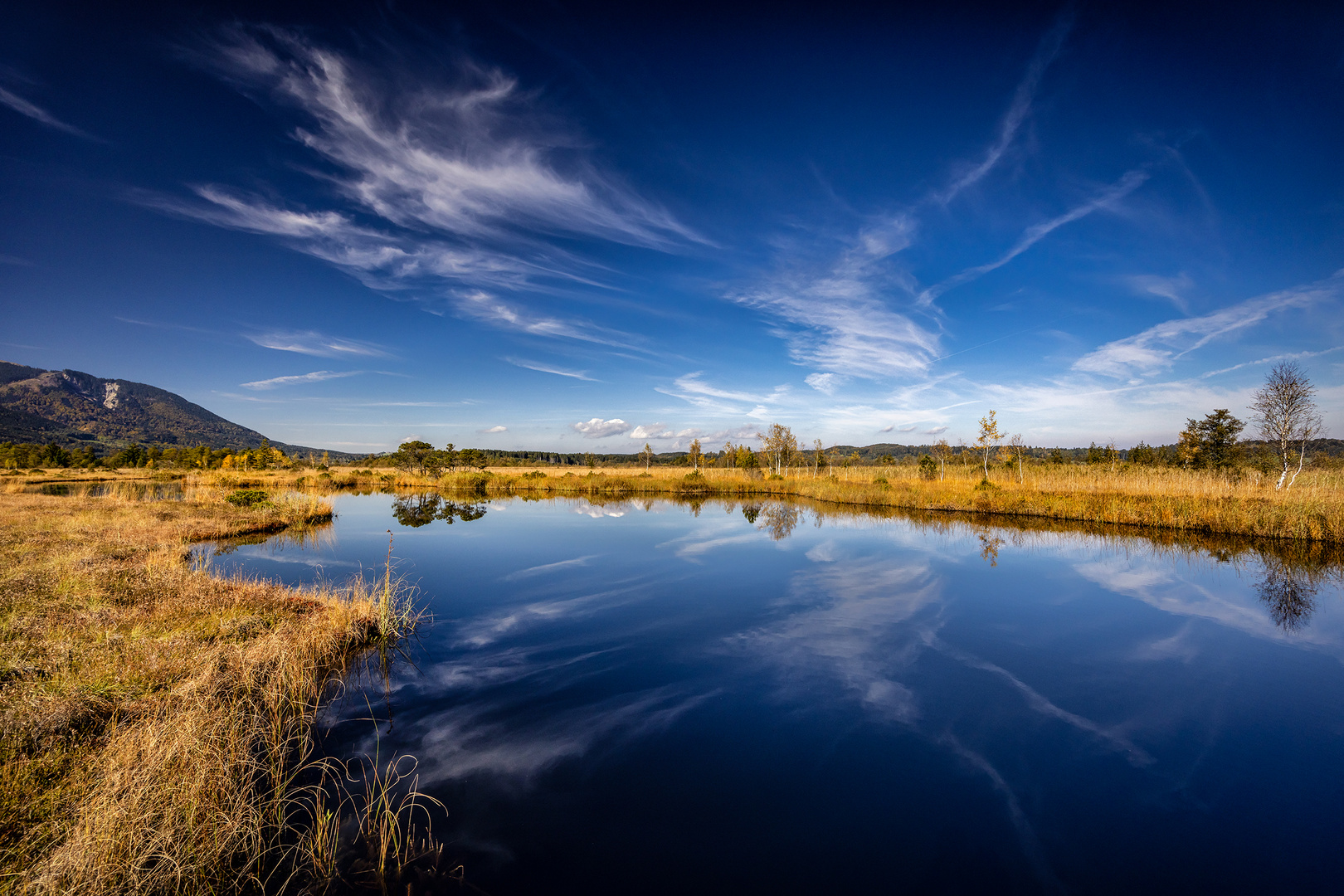 ~ MOOR LAKE I ~