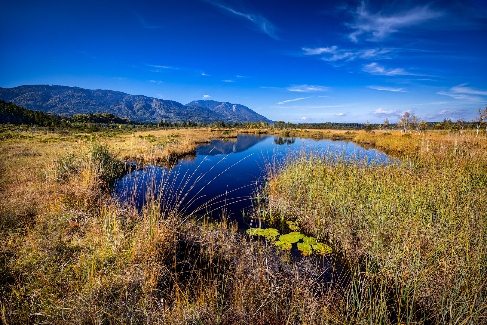 ~ MOOR LAKE II ~