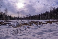 Moor-Landschaft