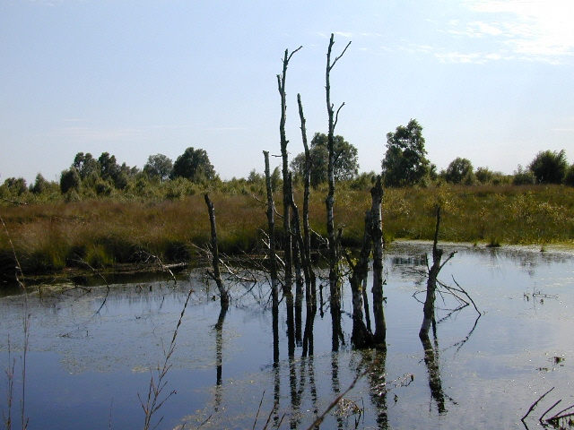 Moor- Spiegelung