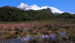 MOOR UND GLETSCHER