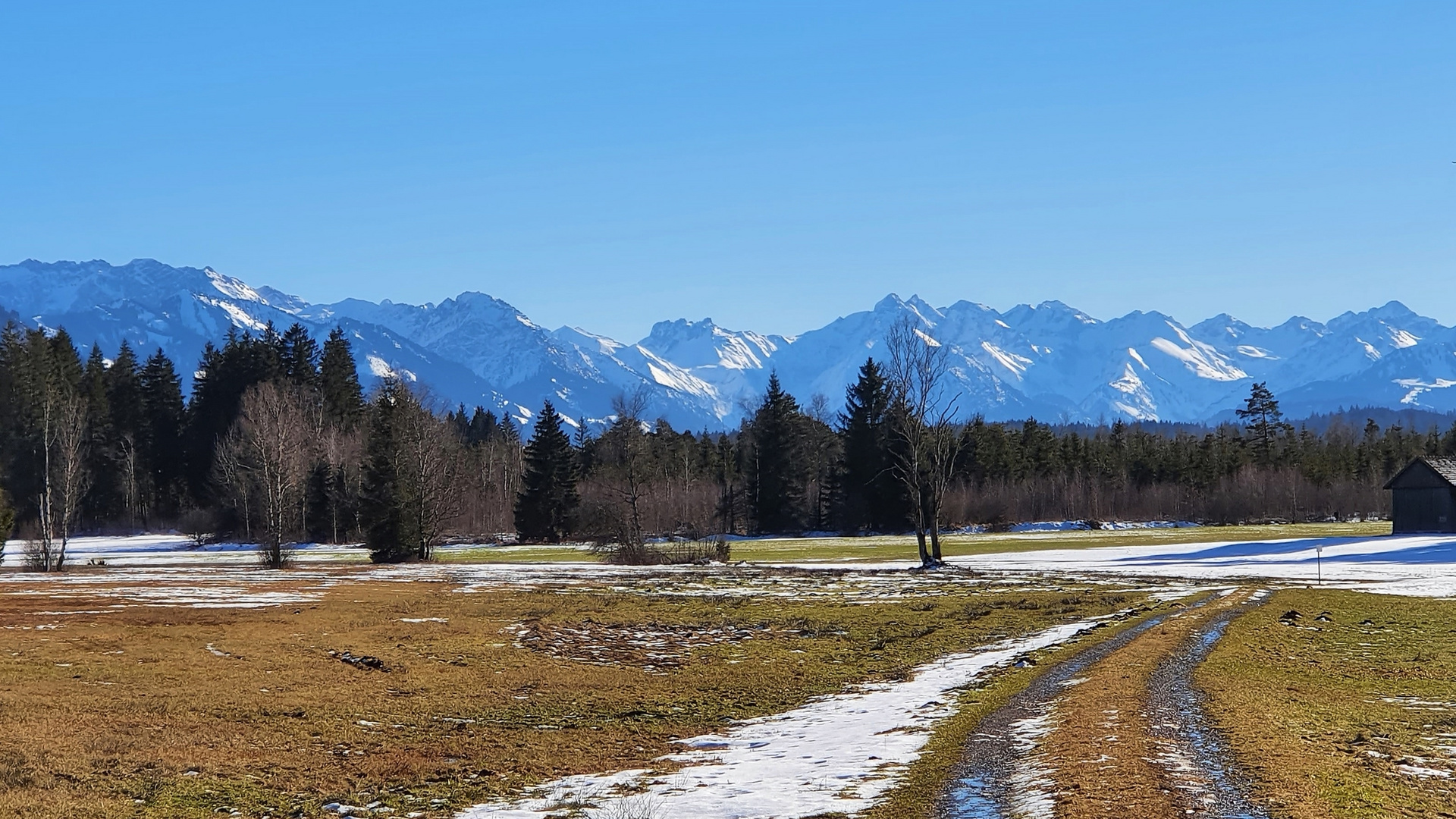 Moor und Hochgebirge