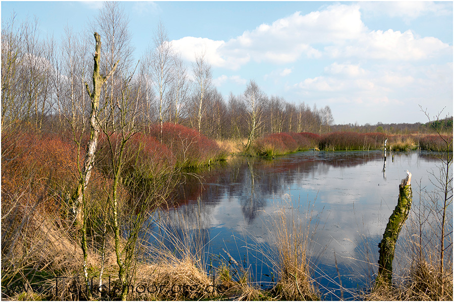 Moor und mehr