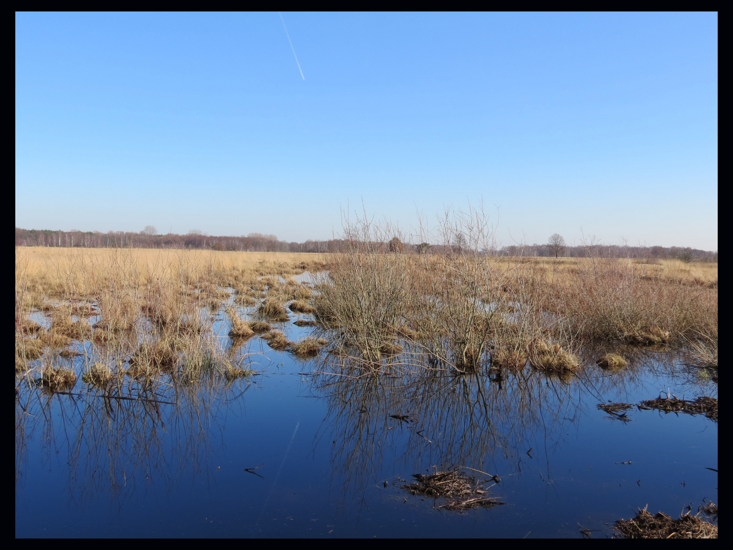 Moor und Stille