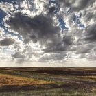 *** Moor und Wolken ***