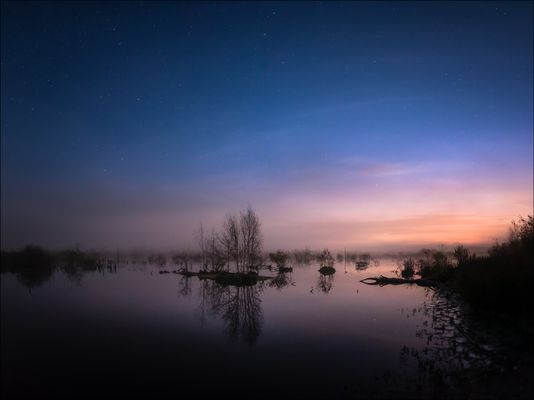 * Moor unter dem Sternenhimmel *