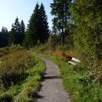 "Moor zum Waldweg in Richtung Siede Alpe"