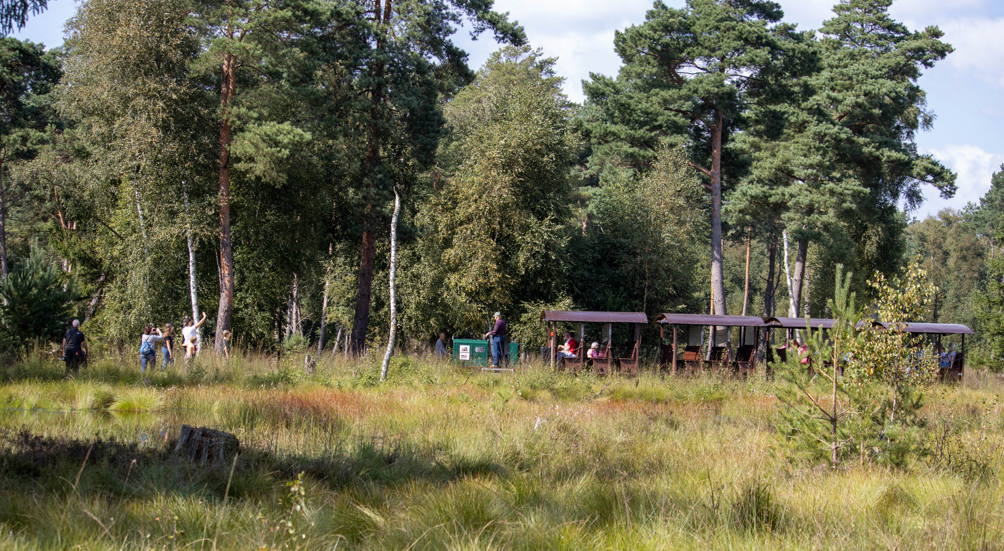 Moorbahn im Tister Bauernmoor