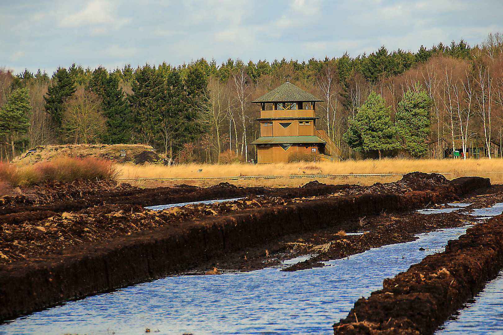 Moorbioskopion Goldenstedter Moor