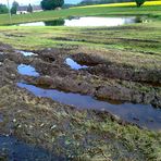 Moorboden hält Wasser wie ein Schwamm zurück