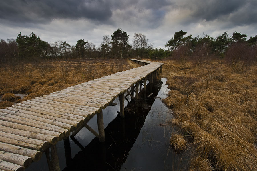 moorbrücke Foto & Bild landschaft, moor, natur Bilder auf