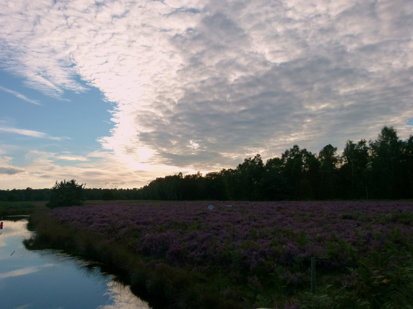 Moordämmerung