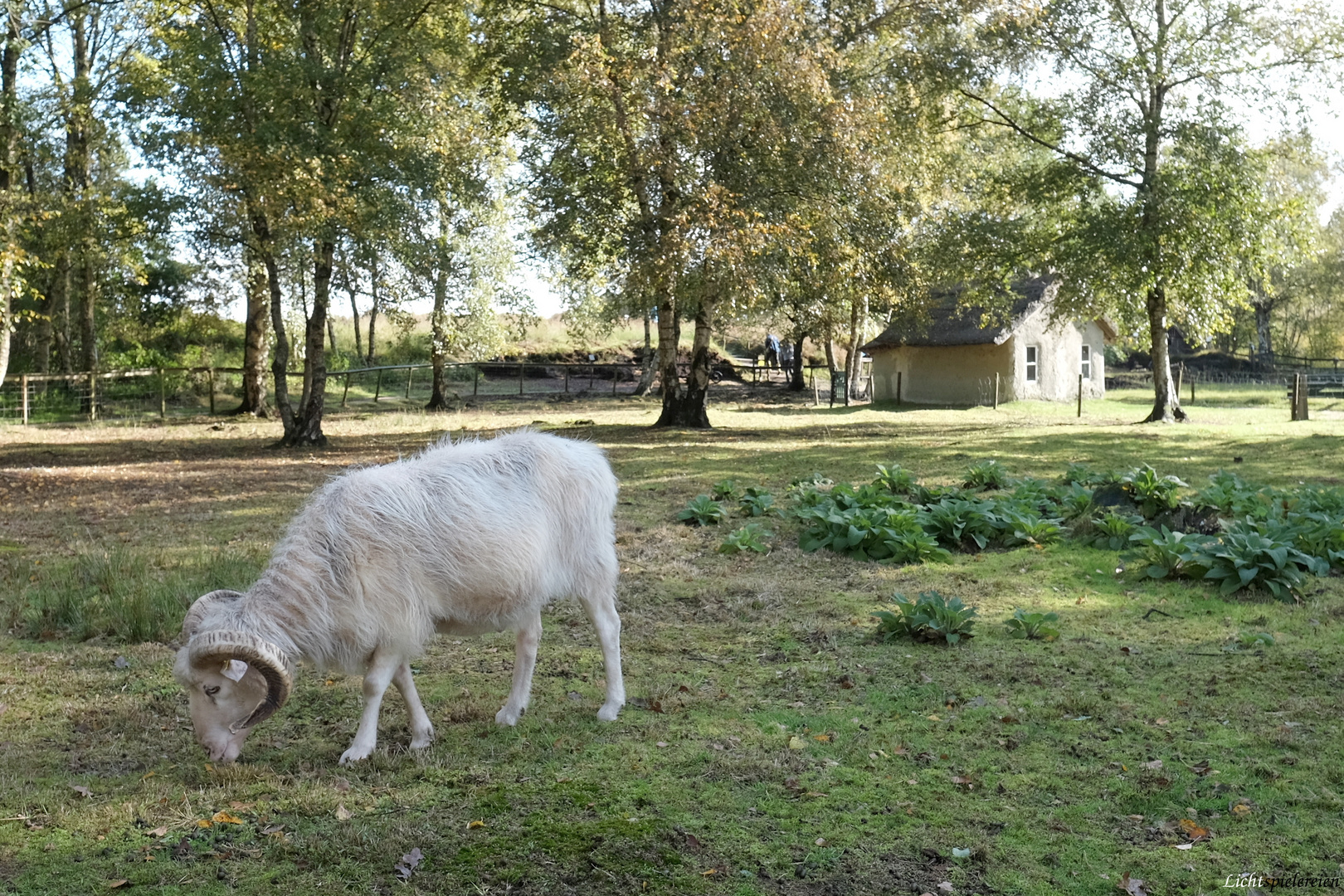 Moordorf