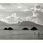 Moorea # 1