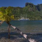 moorea 11