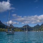 moorea 5