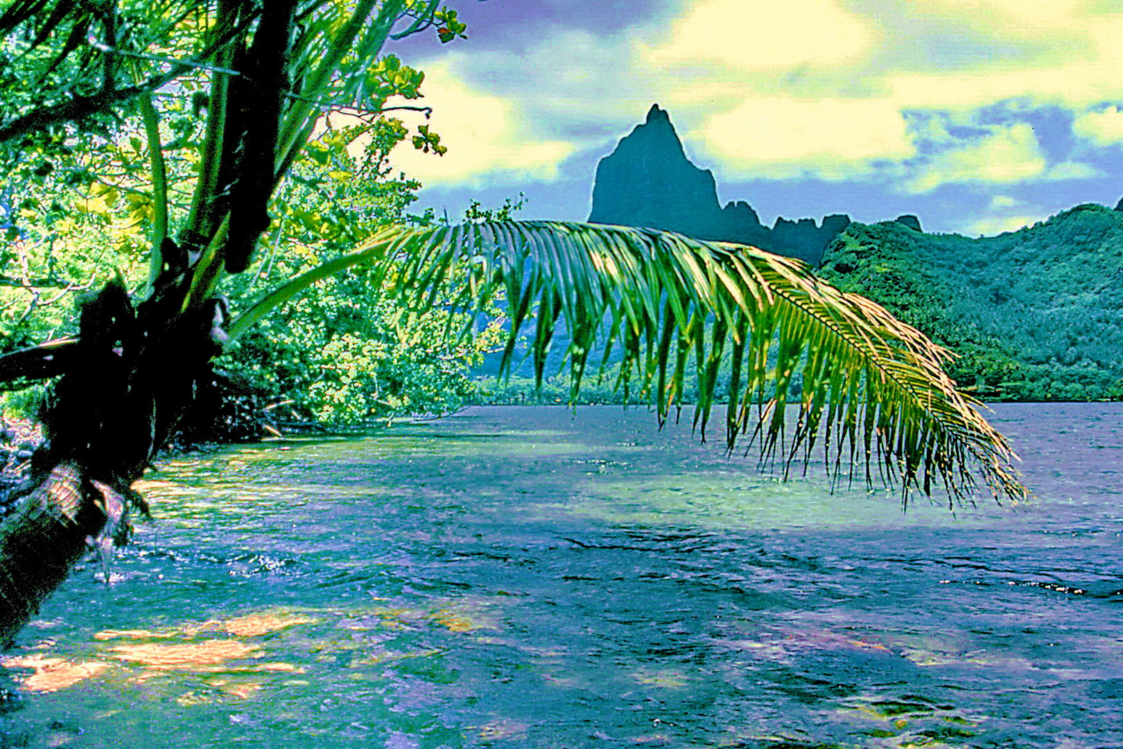 Moorea: Cook Bay & Mt. Tohiea 1207 m