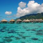 Moorea Island