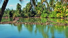 MOOREA  SÜDSEEIDYLLE