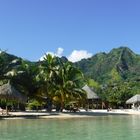 Moorea,unser erstes Ziel in der Südsee