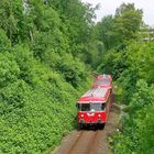 Moorexpress in der Grünen Hölle