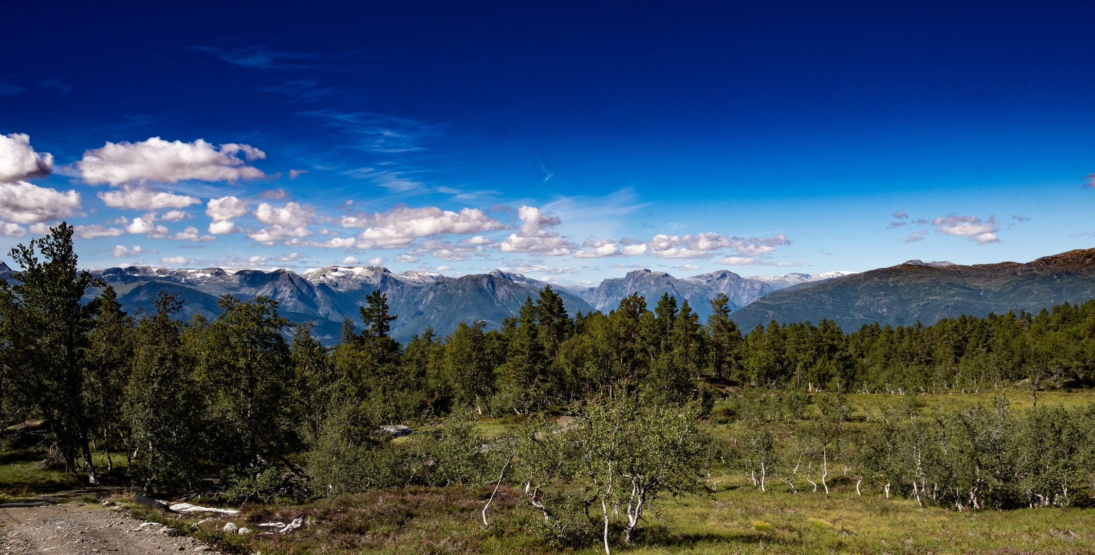 Moorfläche in Norwegen