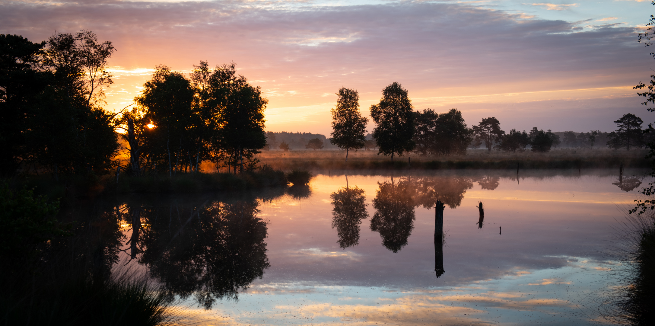 Moorgenstimmung