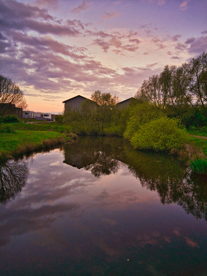 Moorgürtel im Abendlicht 