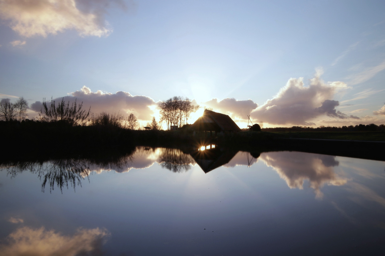 Moorhafen Sonnensterne in Blau