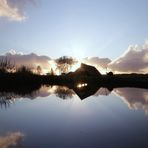 Moorhafen Sonnensterne in Blau