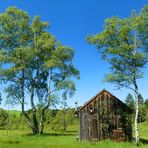 Moorhütte