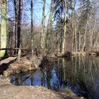 Mooriger Teich am Wanderweg