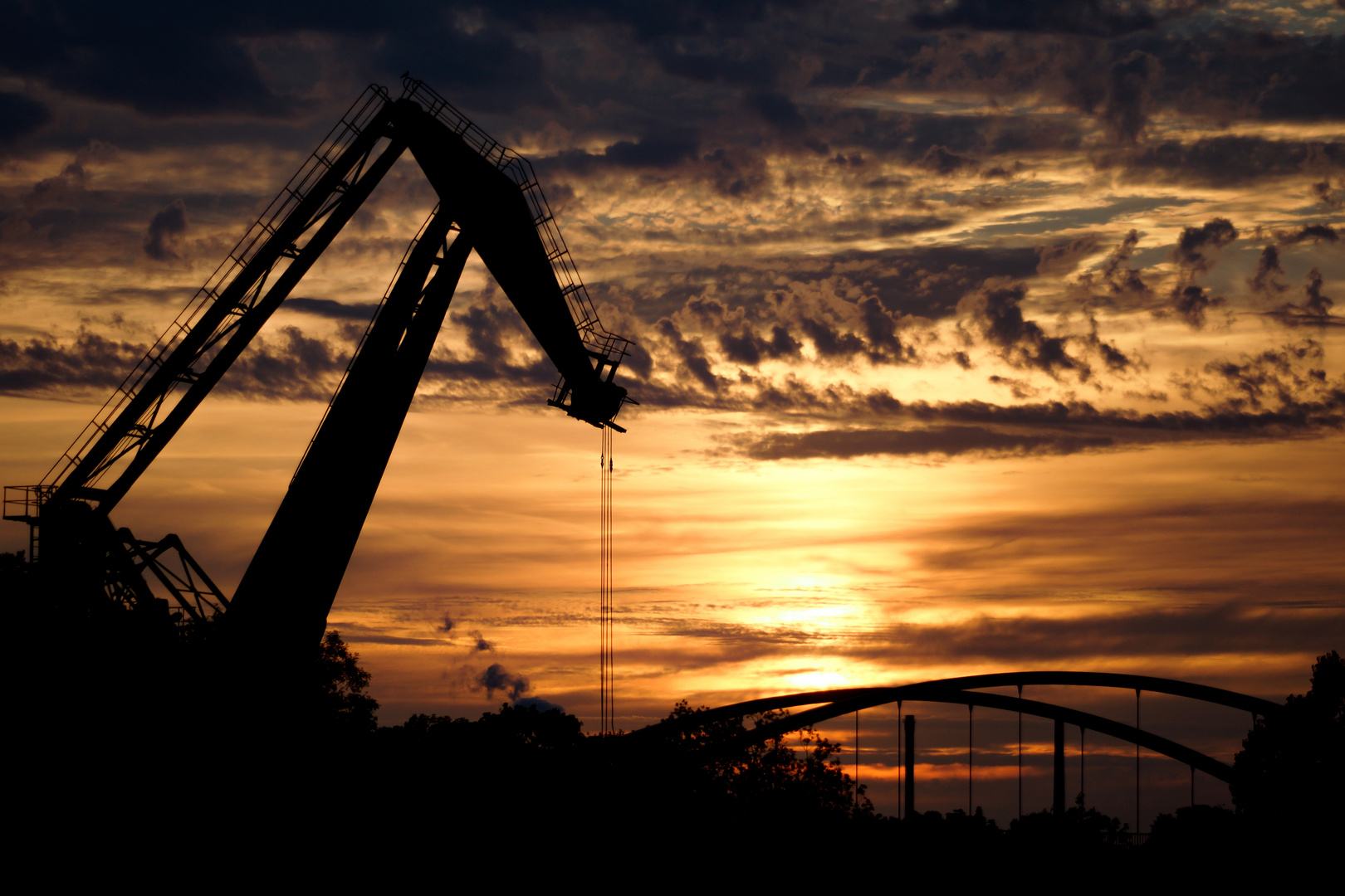 Moorkran Sonnenuntergang