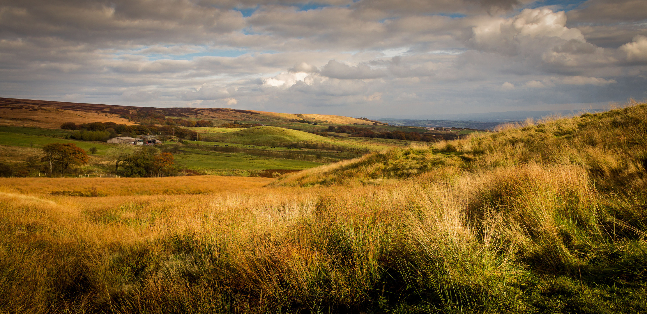 Moorland View