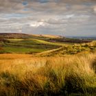 Moorland View