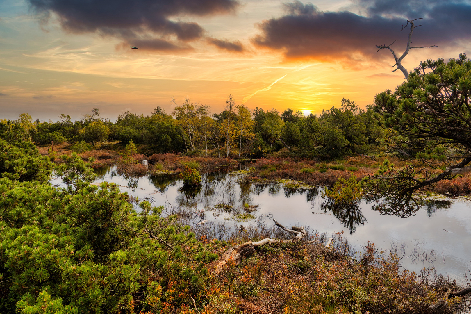 Moorlandschaft