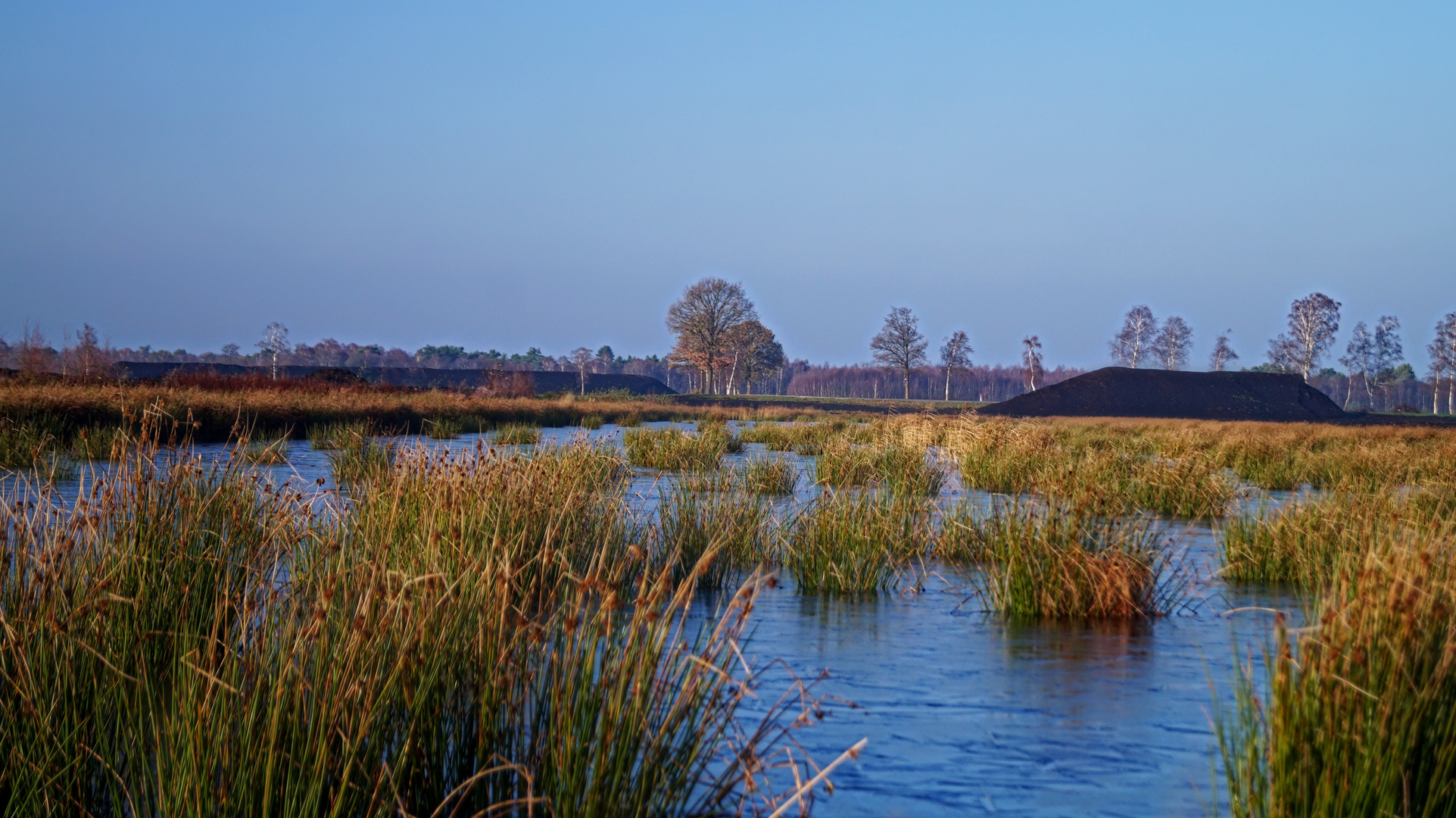 Moorlandschaft