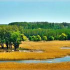 Moorlandschaft