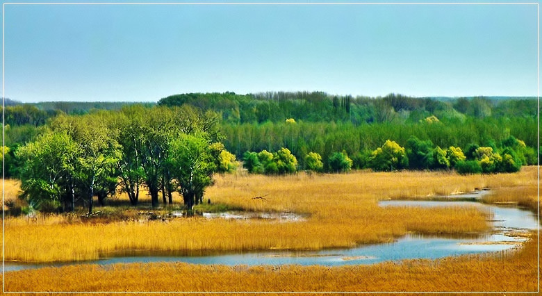 Moorlandschaft