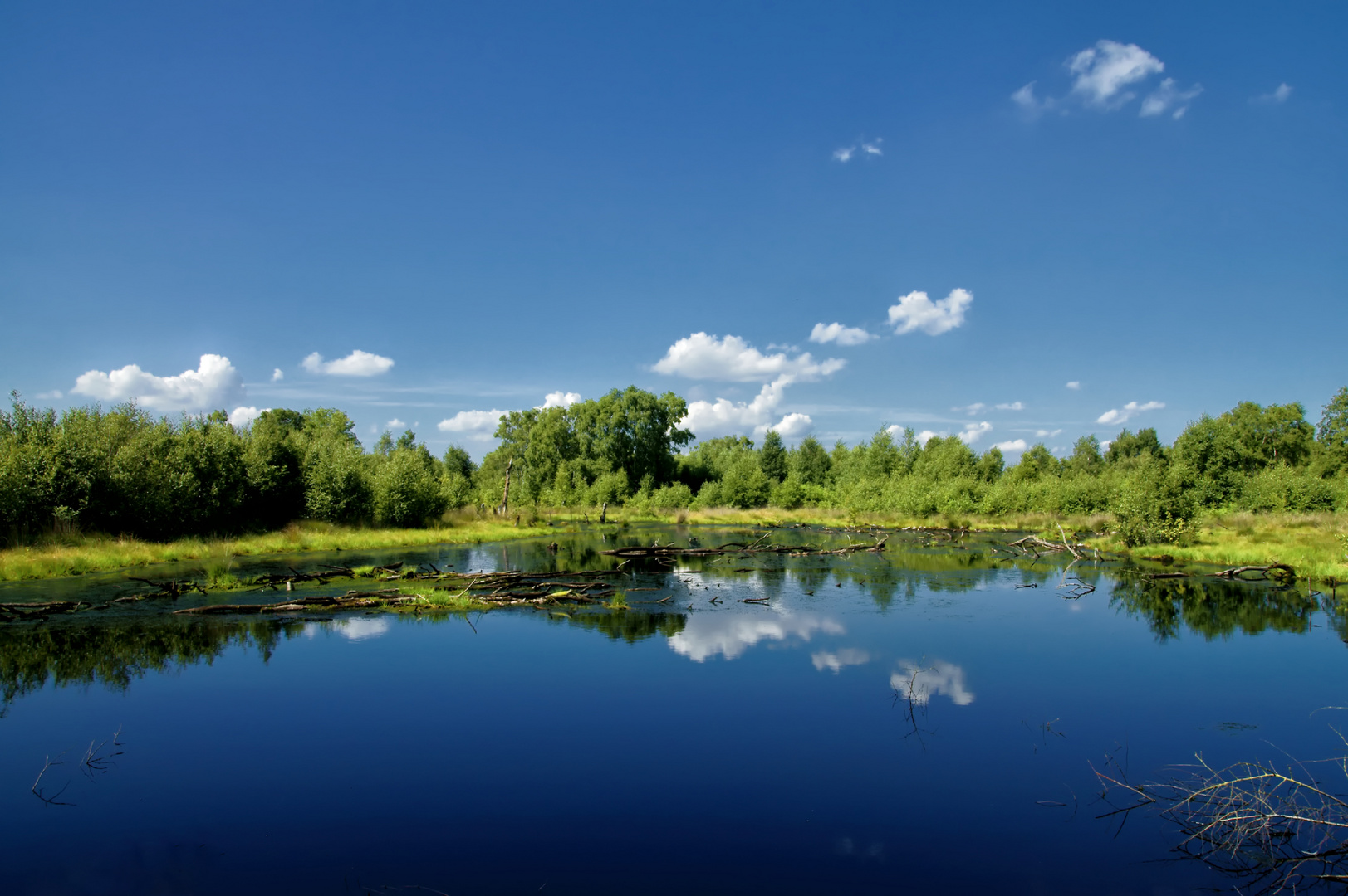 Moorlandschaft