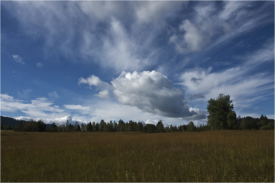 Moorlandschaft