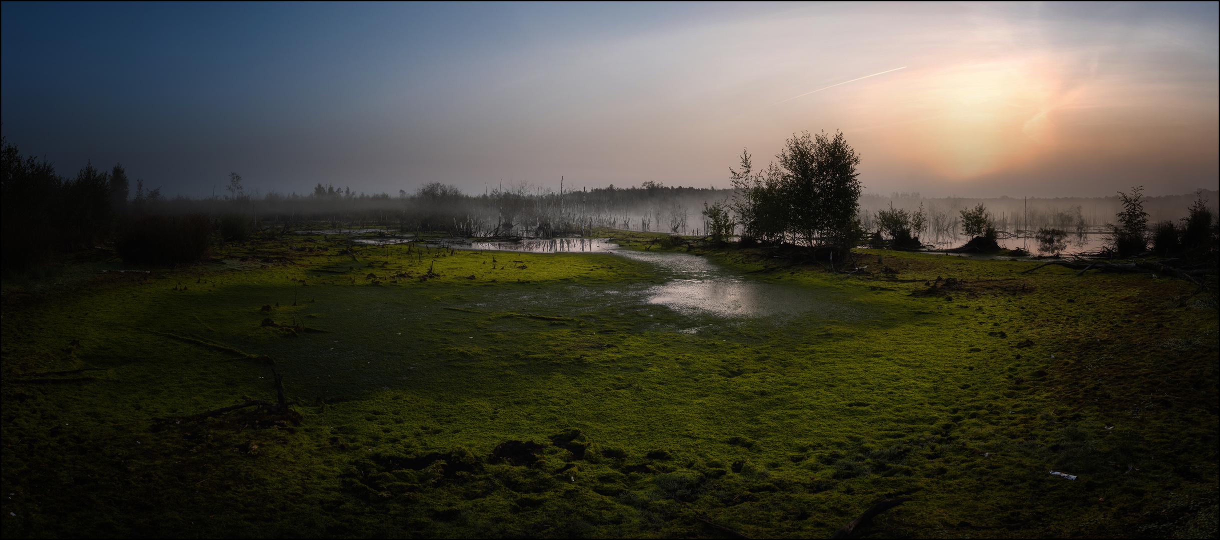 Moorlandschaft