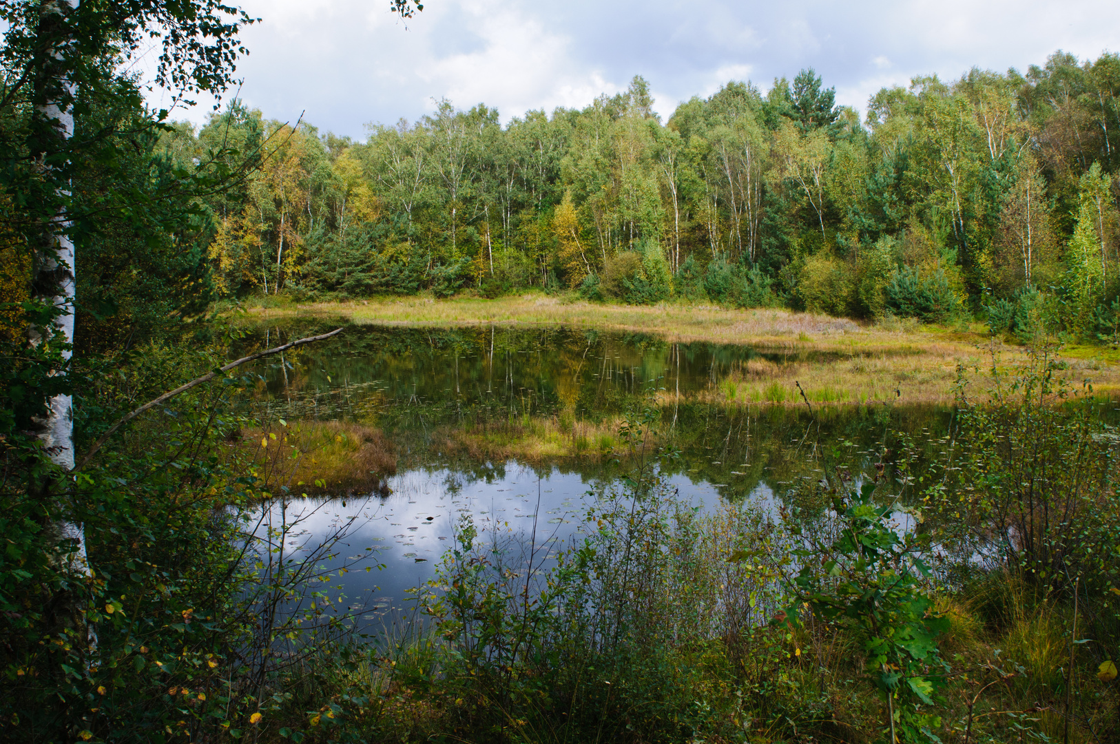 Moorlandschaft