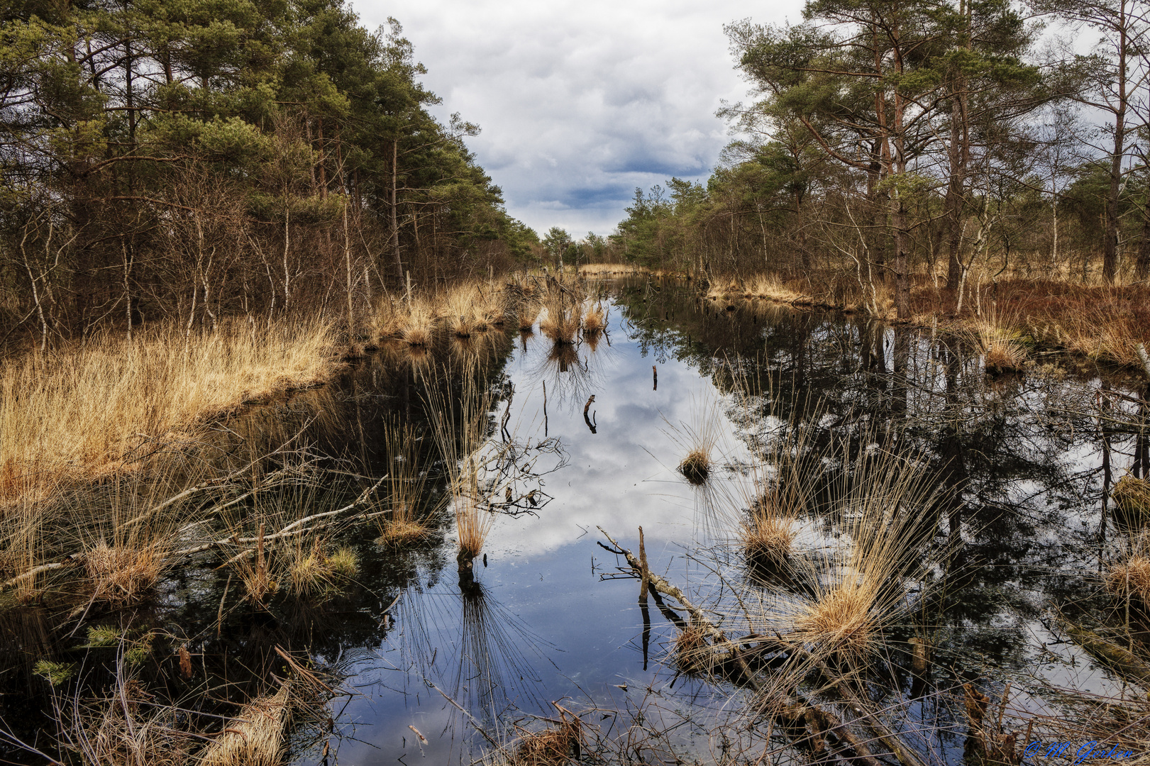 Moorlandschaft (2)